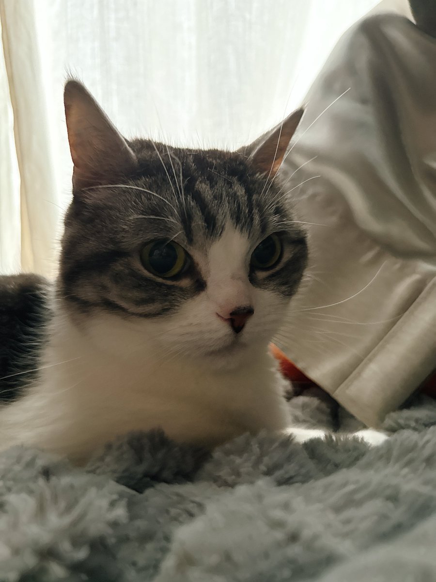 eoheoh@MSSP tweet media