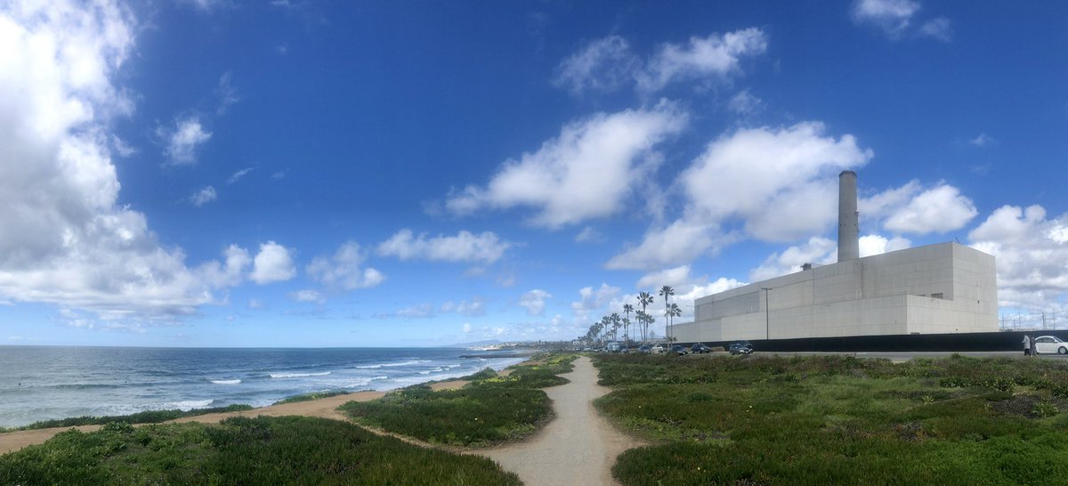 DINO 🦖 tweet media