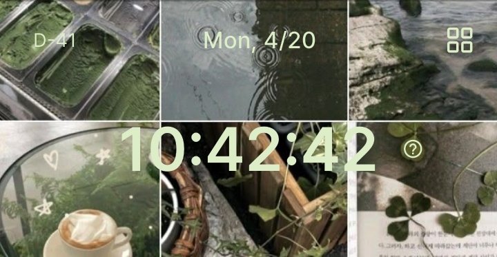 莲莲🍃 tweet media