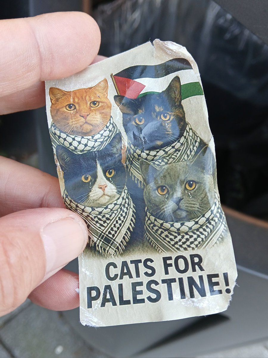 Dirk Varkenshuid tweet media