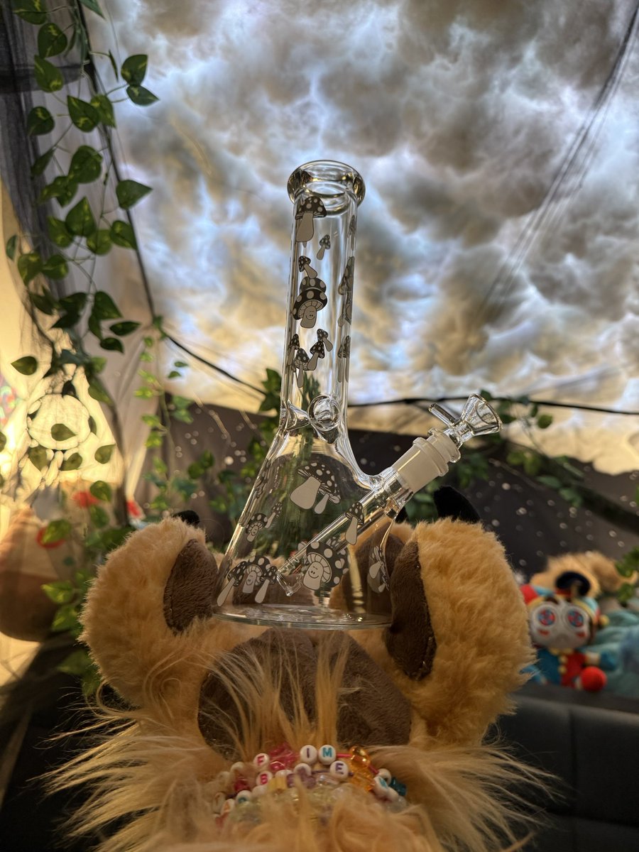 echolalialore's tweet image. today is weed holiday, bought a glass in commemoration. it have mushroom on it :] #Hashtag #FourTwenty