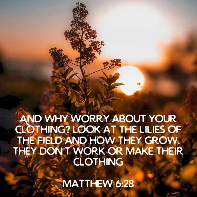 UpliftedInFaith's tweet image. God clothes them in beauty — He’ll care for you too! 

Release worry. ✨🙏

#Matthew #TrustGod #FaithOverFear