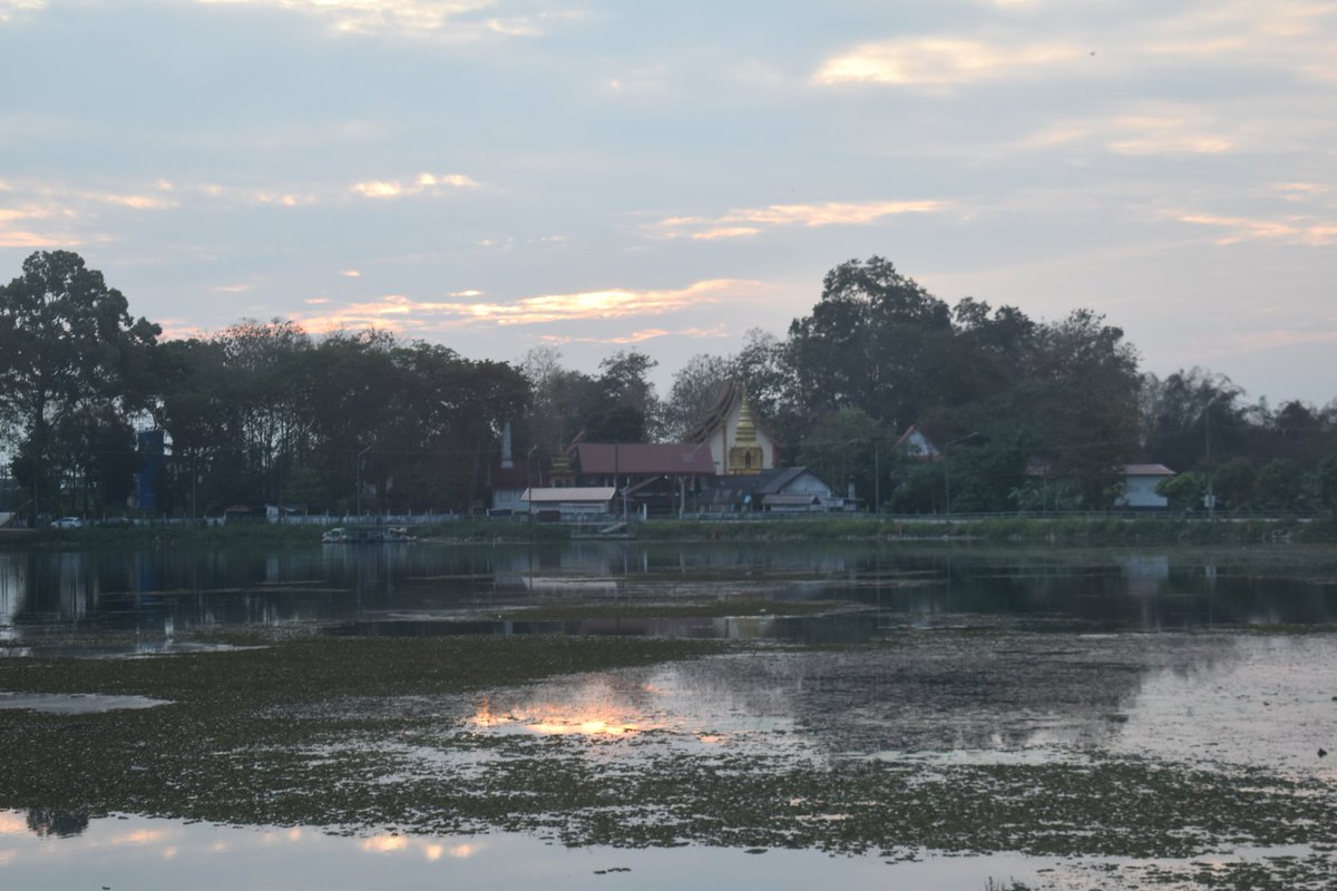 Cerberane's tweet image. More Lovely views from one of my morning #walks around อ่างเก็บน้ำหนองบัว in late February 
วิวสวยๆ จากการเดินเที่ยวรอบๆ อ่างเก็บน้ำหนองบัวช่วงปลายเดือนกุมภาพันธ์
#sunrise
#lake 
#nature
#naturelovers
#naturephotography