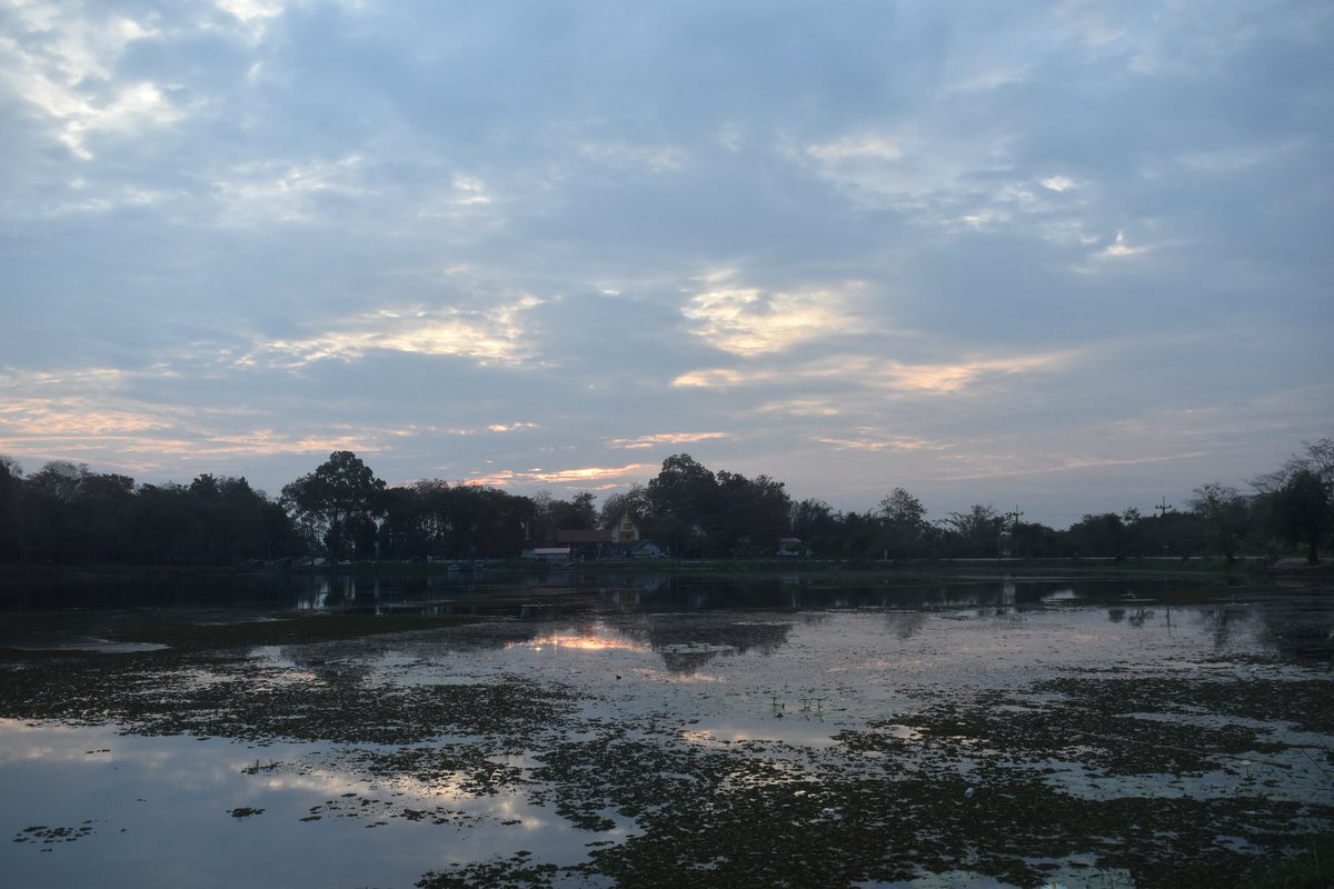 Cerberane's tweet image. More Lovely views from one of my morning #walks around อ่างเก็บน้ำหนองบัว in late February 
วิวสวยๆ จากการเดินเที่ยวรอบๆ อ่างเก็บน้ำหนองบัวช่วงปลายเดือนกุมภาพันธ์
#sunrise
#lake 
#nature
#naturelovers
#naturephotography
