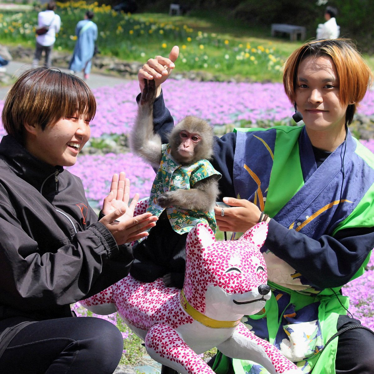 musyoh's tweet image. コンビを組んで１ヶ月、猿一番 【蓮太郎🐵 ＆ 伶央斗（れおと）👨】"三田花のじゅうたん"での公演を見てきました。蓮太郎🐵君、想像より小さくて♥️めちゃくちゃ可愛かったです❣️写真と動画はYouTube他で後日公開予定‼️ ＃monkey ＃猿まわし ＃猿回し