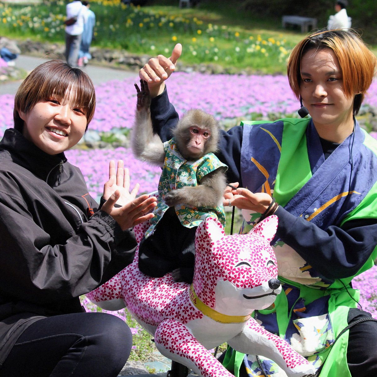 musyoh's tweet image. コンビを組んで１ヶ月、猿一番 【蓮太郎🐵 ＆ 伶央斗（れおと）👨】"三田花のじゅうたん"での公演を見てきました。蓮太郎🐵君、想像より小さくて♥️めちゃくちゃ可愛かったです❣️写真と動画はYouTube他で後日公開予定‼️ ＃monkey ＃猿まわし ＃猿回し