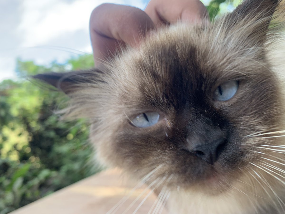 Oki nama tweet media