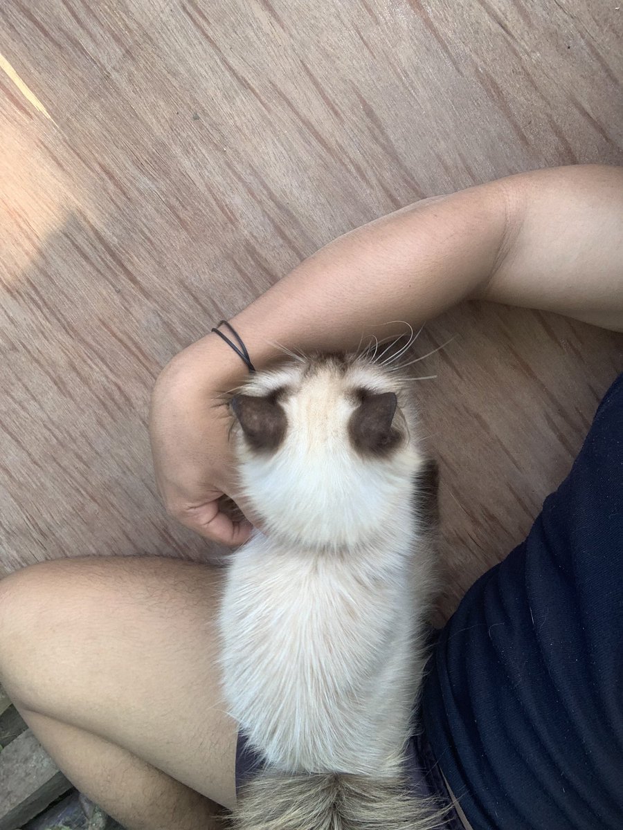 Oki nama tweet media