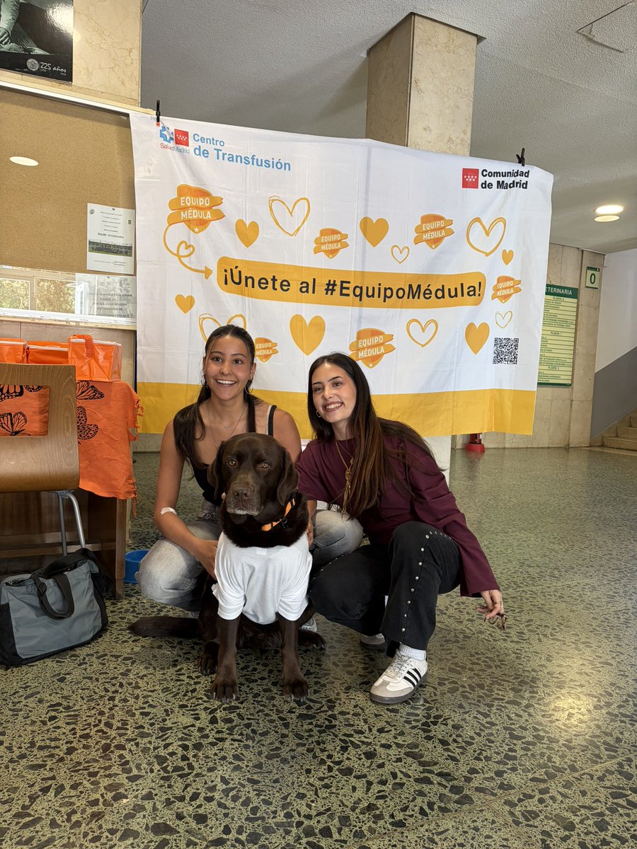 EquipoMedula's tweet image. 🐾 Ayer llegamos a la Facultad de Veterinaria de la @unicomplutense. Qué gente tan maja, cercana y bonita.

Juntos venimos a hacer algo enorme: salvar vidas y dar esperanza. 🧡

#EquipoMédula #MadridDonaMédula #UCM #CompatiblesConLaVida