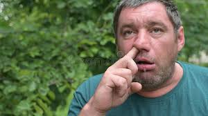 Nicholas Pohla tweet media