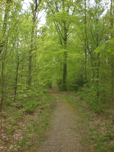 🦊 PeteЯ­­  tweet media