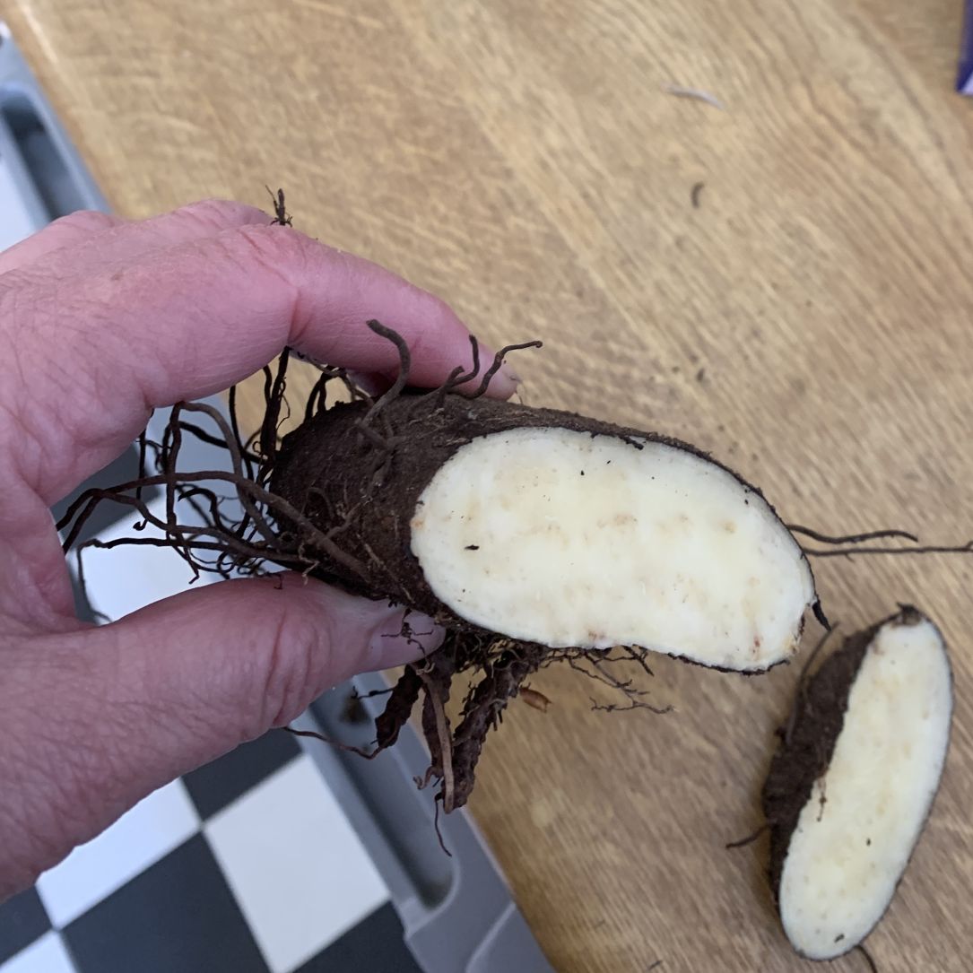 English Truffle Co tweet media