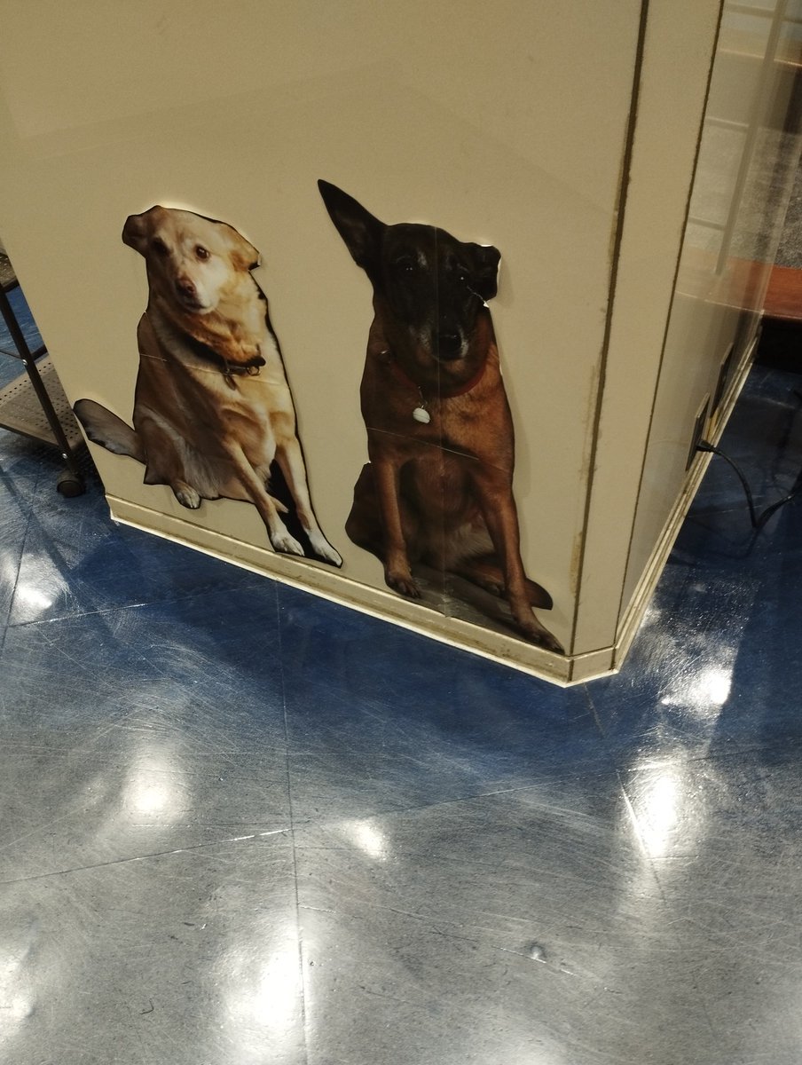 深町 てにて 吾朗 tweet media