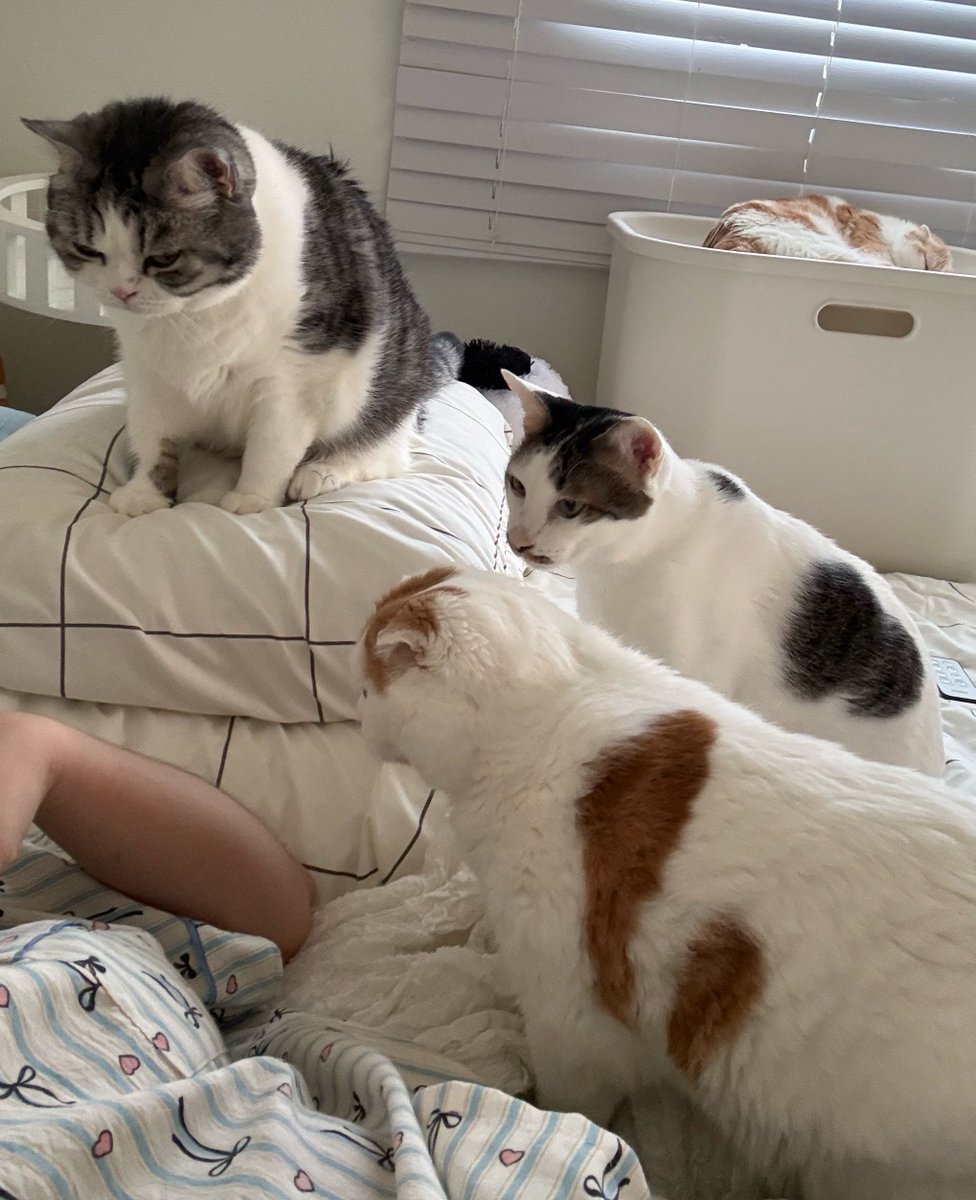 DNVP 💋 (Malonfamily) tweet media