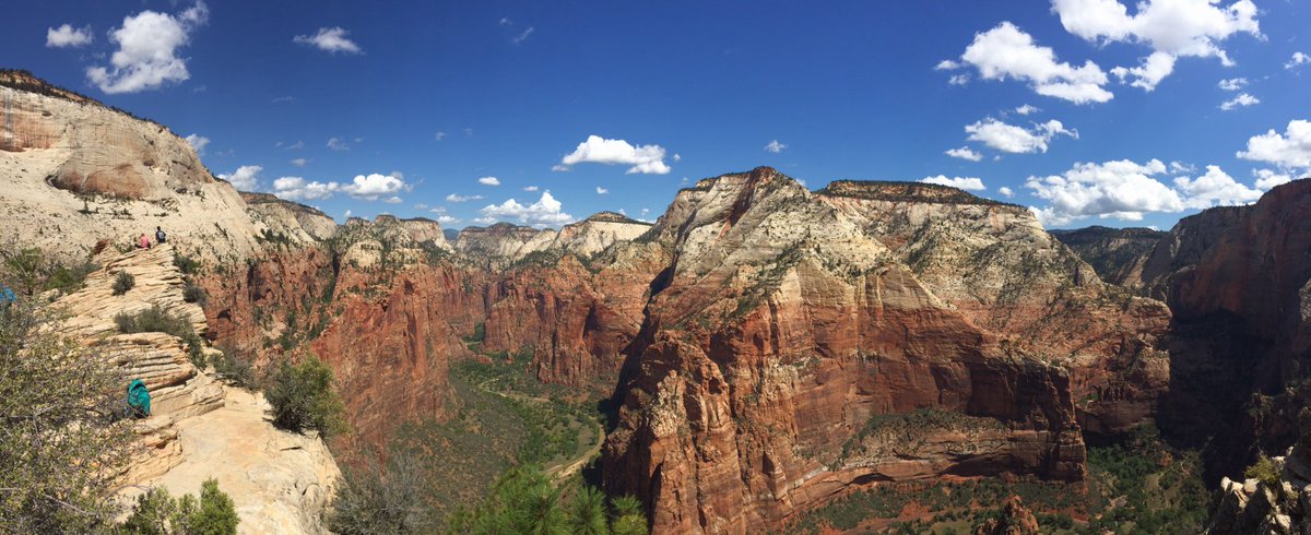 DINO 🦖 tweet media