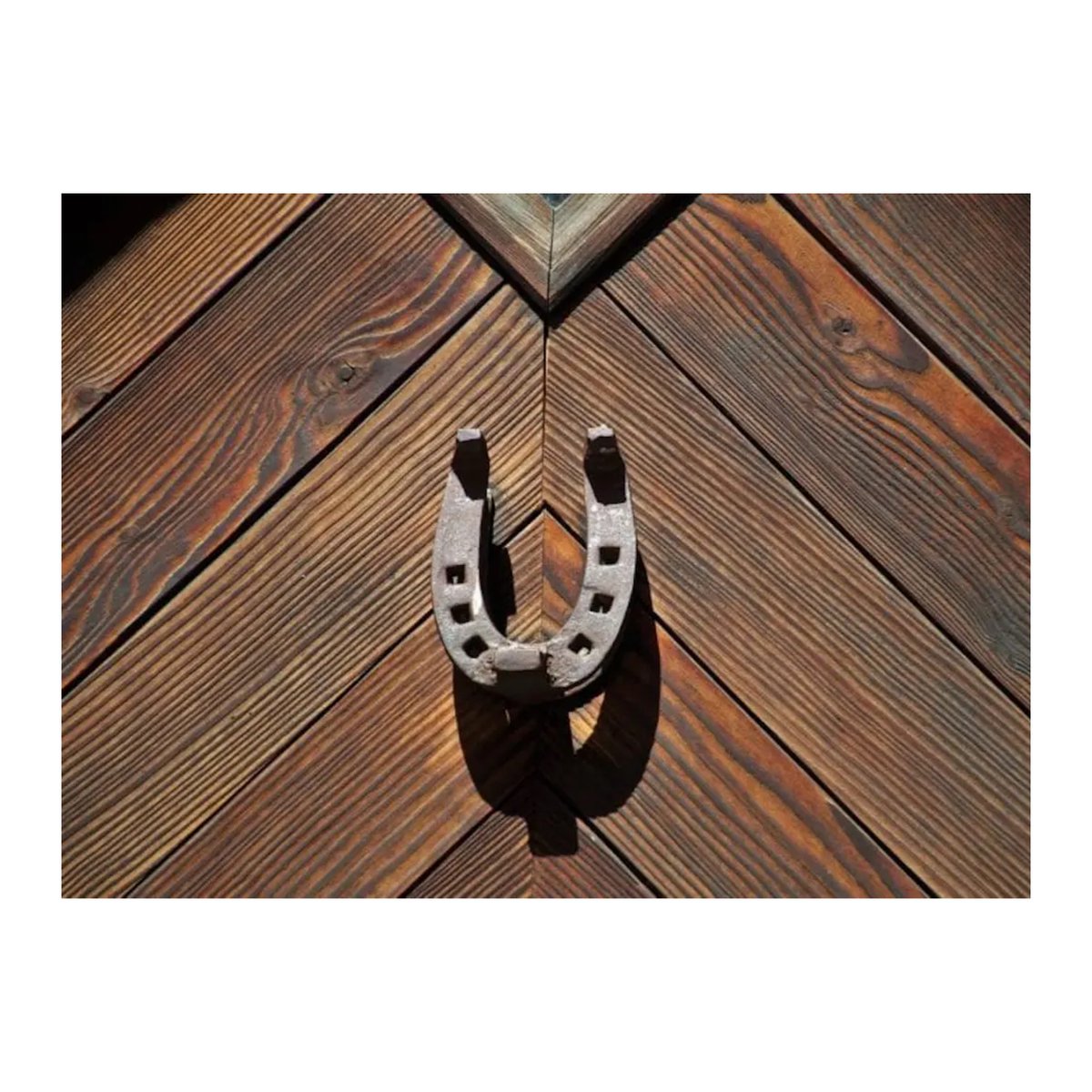 雑学をまとめる犬 tweet media