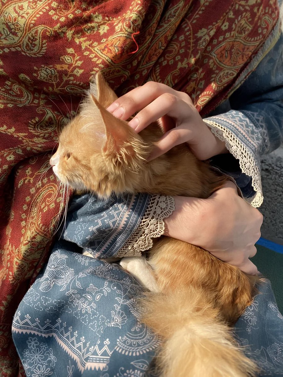 🎀🐬⚖️Olivia M Elmaghraby⚖️🐬🎀 tweet media