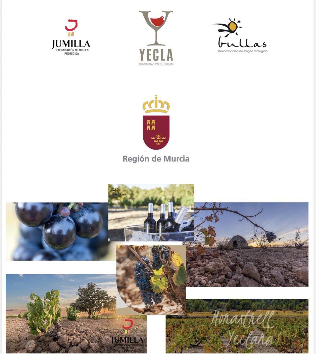 RegMurciaBrux's tweet image. 🇪🇺🇧🇪🍷Vinos de las Denominaciones de Origen Protegidas #DOP de la #RegióndeMurcia se muestran en Bruselas

🍇17 bodegas de las DOP #Jumilla #Yecla y #Bullas participan en un salón de degustación ante sumilleres,periodistas especializados, responsables de compras, y restauradores.