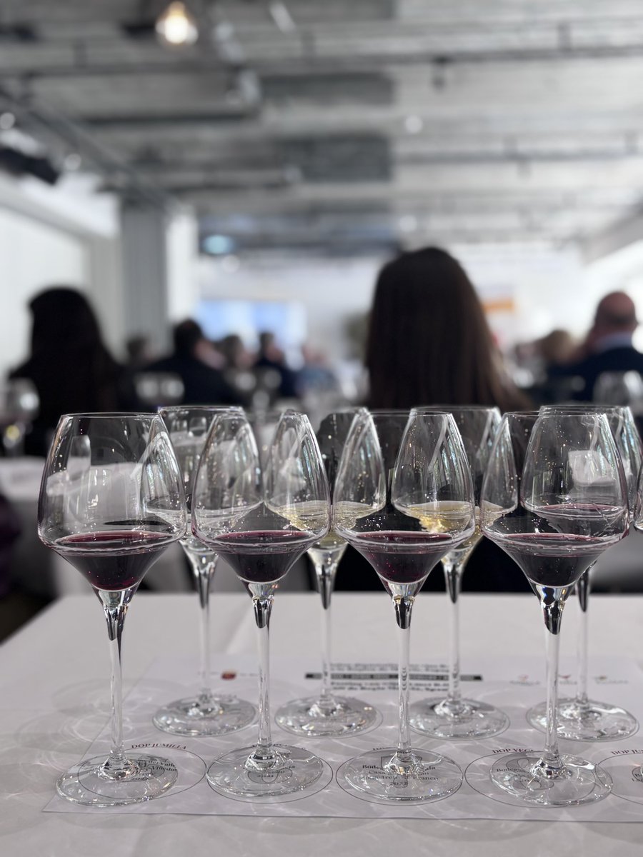 RegMurciaBrux's tweet image. 🇪🇺🇧🇪🍷Vinos de las Denominaciones de Origen Protegidas #DOP de la #RegióndeMurcia se muestran en Bruselas

🍇17 bodegas de las DOP #Jumilla #Yecla y #Bullas participan en un salón de degustación ante sumilleres,periodistas especializados, responsables de compras, y restauradores.