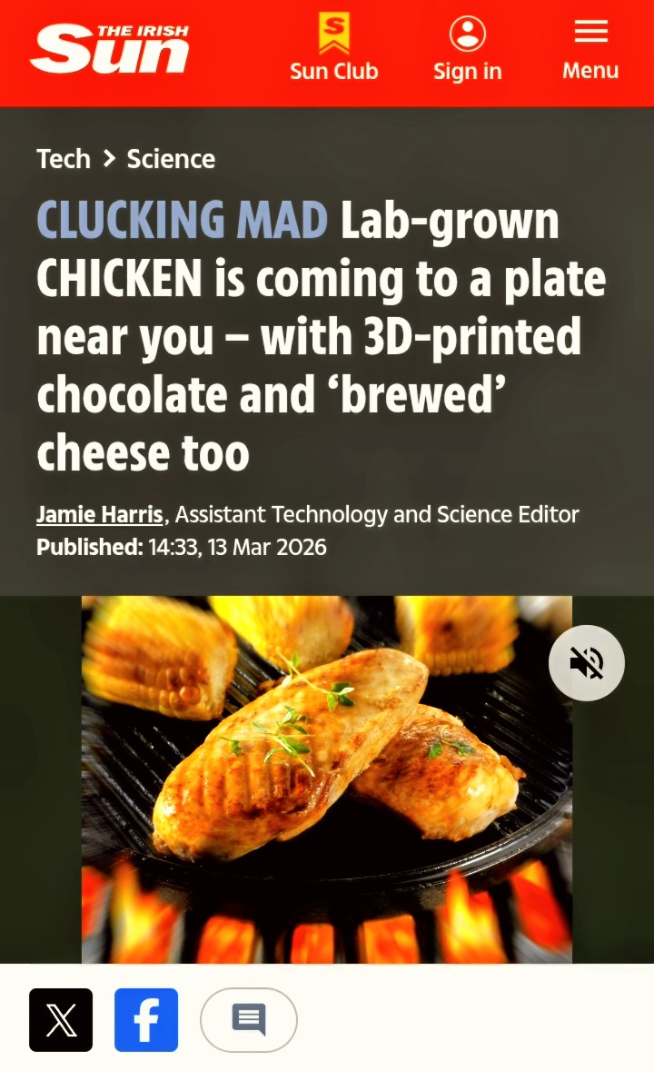 anzisha_africa's tweet image. 🔥⚓99 Days Before (See Quoted Tweet Of '2026 AnzishaAfrica Financial World🌍Events!)

💎🗝️: 'Then I Saw FoodTech Breakthrough🇬🇧:Empty Fields, Full Stomachs, Lab Grown Meat..

@SkyNews '...It Is The Closest Any Such 'Cultivated Meat' Product Has...

🔥@ManofValor777🦅 

#IAM👑