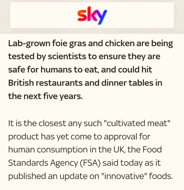 anzisha_africa's tweet image. 🔥⚓99 Days Before (See Quoted Tweet Of '2026 AnzishaAfrica Financial World🌍Events!)

💎🗝️: 'Then I Saw FoodTech Breakthrough🇬🇧:Empty Fields, Full Stomachs, Lab Grown Meat..

@SkyNews '...It Is The Closest Any Such 'Cultivated Meat' Product Has...

🔥@ManofValor777🦅 

#IAM👑