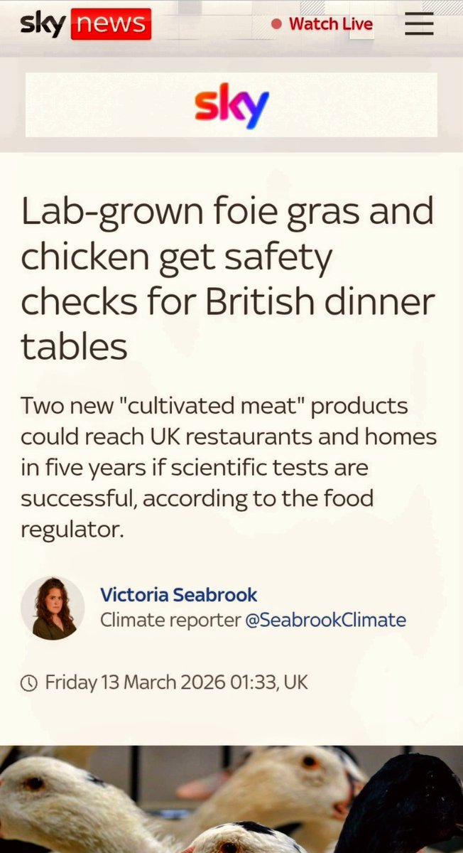 anzisha_africa's tweet image. 🔥⚓99 Days Before (See Quoted Tweet Of '2026 AnzishaAfrica Financial World🌍Events!)

💎🗝️: 'Then I Saw FoodTech Breakthrough🇬🇧:Empty Fields, Full Stomachs, Lab Grown Meat..

@SkyNews '...It Is The Closest Any Such 'Cultivated Meat' Product Has...

🔥@ManofValor777🦅 

#IAM👑