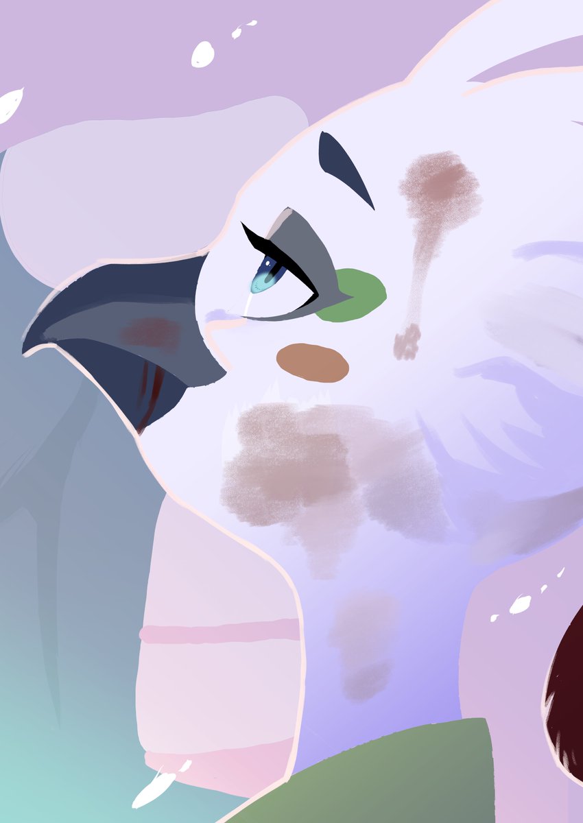 るかこ🐣 tweet media