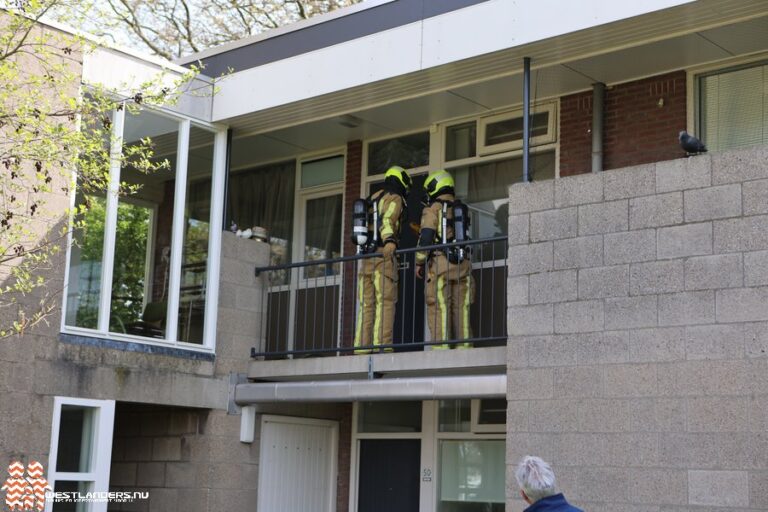 Westlanders.nu tweet media