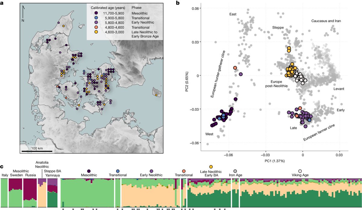 argosaki's tweet photo. 8 of 10
Greeks carry the highest Anatolian Neolithic farmer DNA in Europe. 
This isolated peninsula shows why they’re genetically unique.
In Greeks: ~58-66% Anatolian farmer ancestry. Steppe (Yamnaya) component? Only 3-6% — sometimes zero. 
Plus a distinct Caucasus-related signal connecting to the broader East Mediterranean.
Deep Maniots: 
Europe’s rare genetic island with almost zero steppe ancestry. What it means for ‘European’ identity.
Modern Europeans are NOT one uniform stock. They’re a mix of Western Hunter-Gatherers, Anatolian farmers, steppe herders… and Greeks sit at a fascinating extreme.
Y-chromosomes from the southern tip of Greece match no modern population — they go straight back to before Rome.
Geography + tight family/clan structure + rugged isolation preserved this ancient signature in concentrated form.