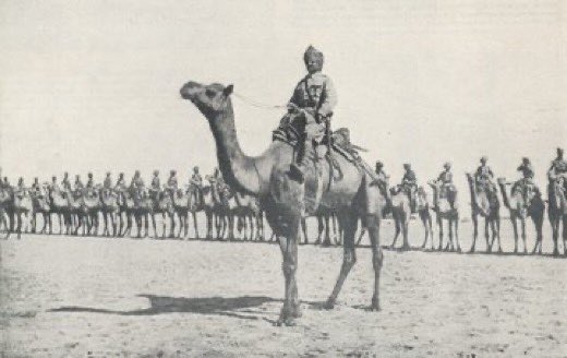 أبو مازن🇸🇦🐪 tweet media