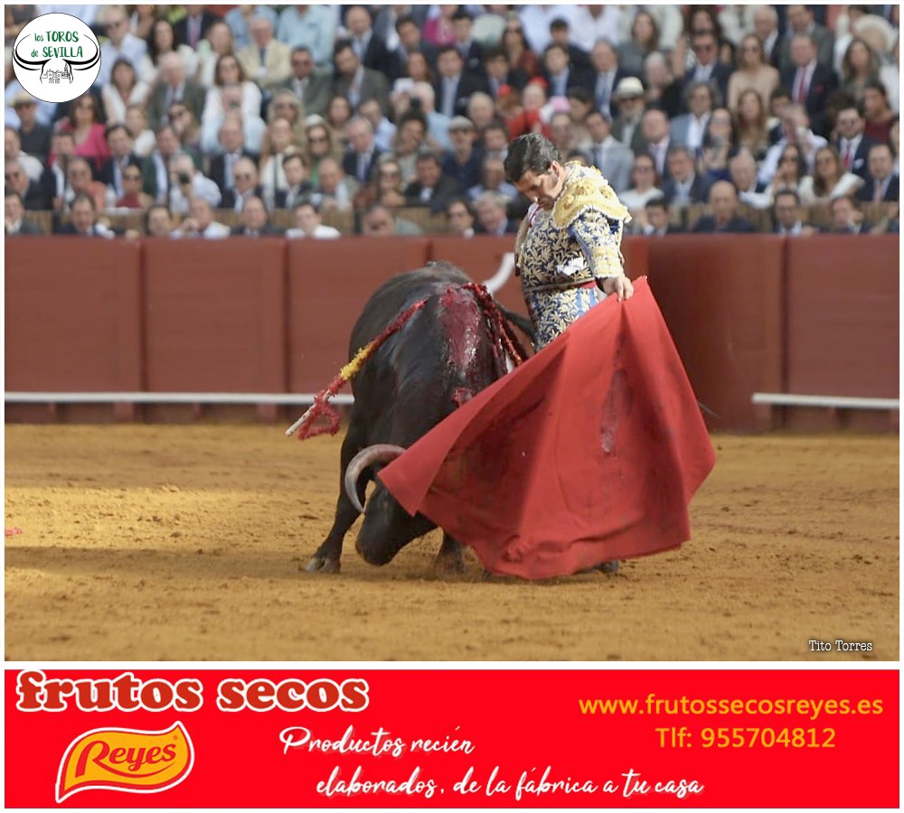 Los Toros de Sevilla tweet media