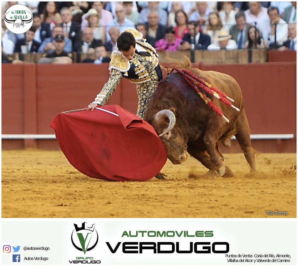 Los Toros de Sevilla tweet media