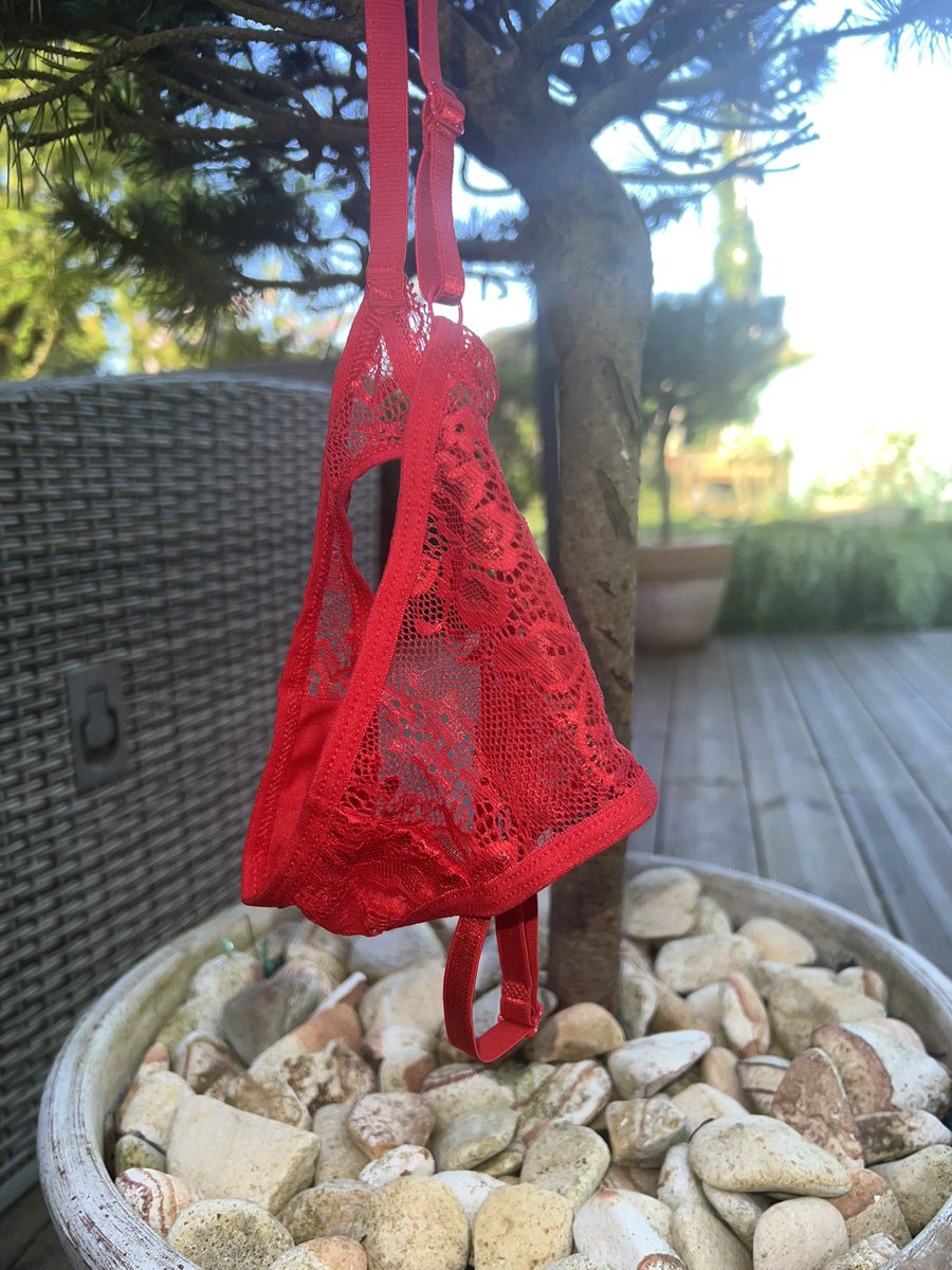 Calypso 🕸️ tweet media