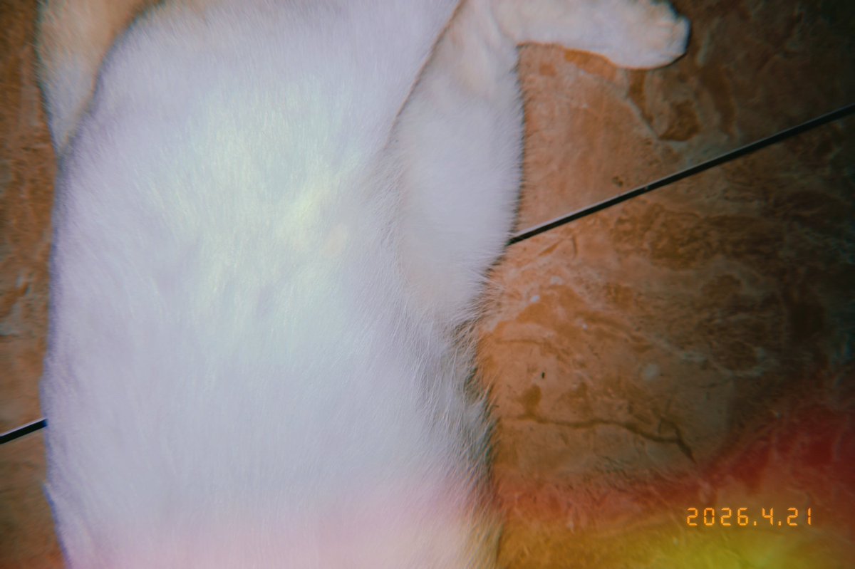 ned²⁶ tweet media