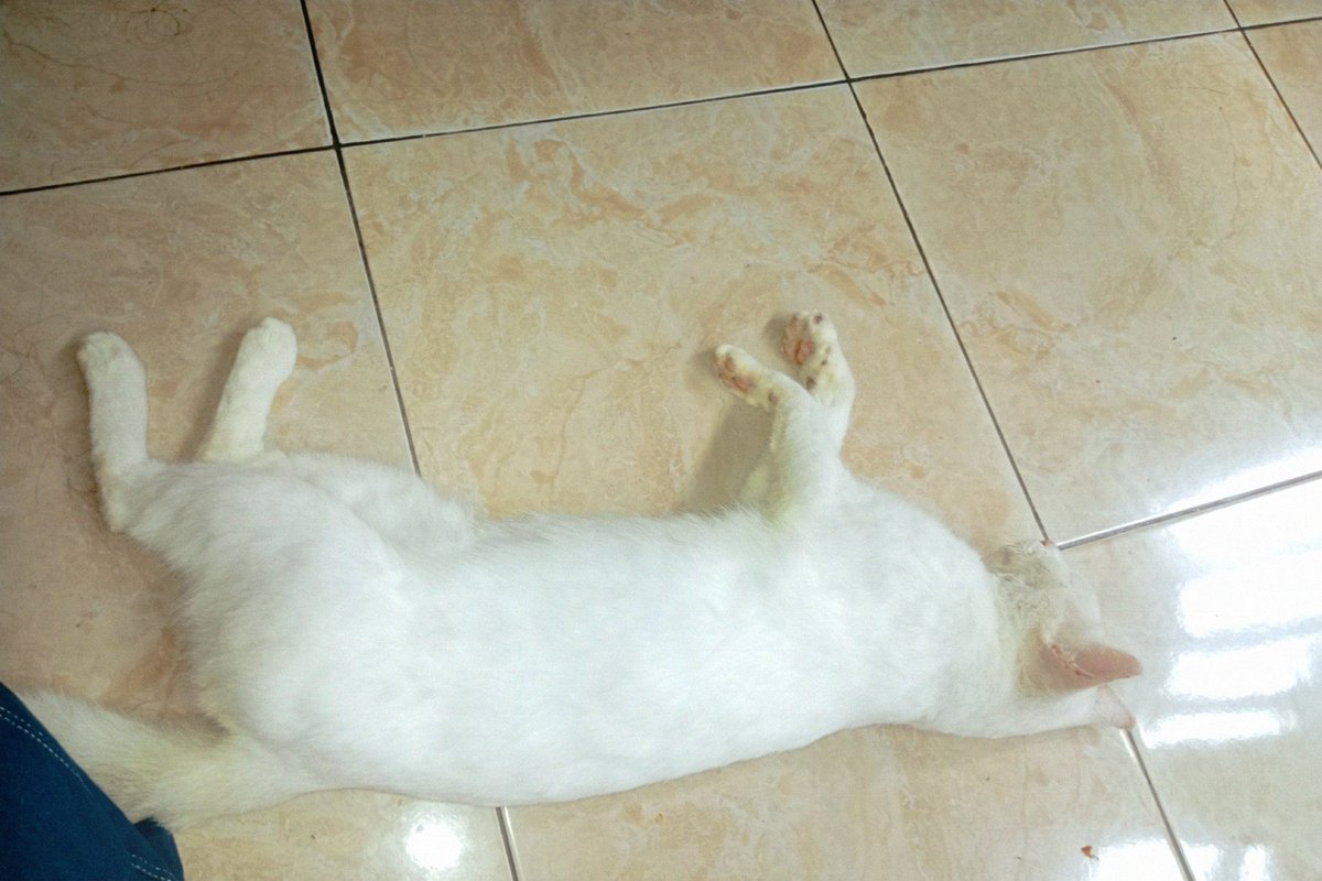 ned²⁶ tweet media