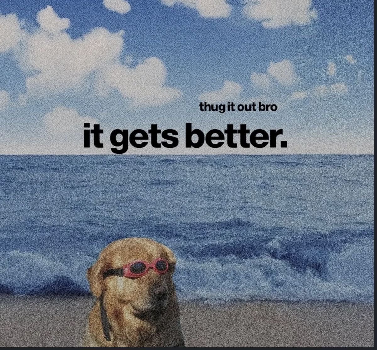 Iamveektoria.base.eth 🙂‍↔️🌳 ✠ tweet media