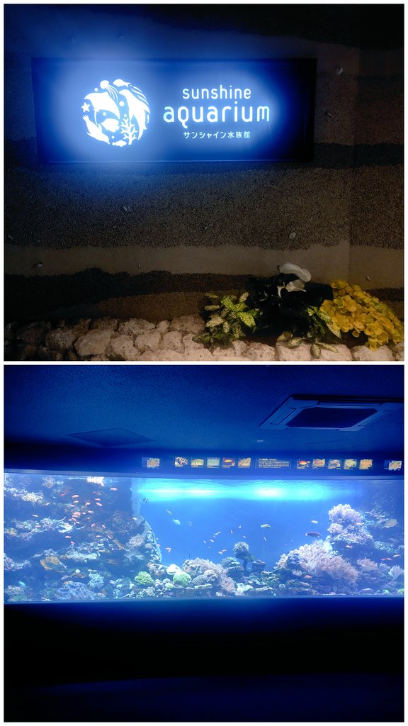 にゃんこ tweet media