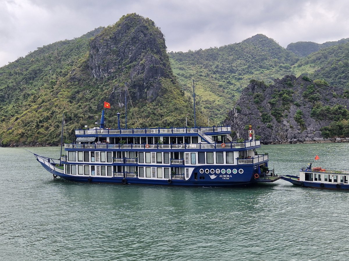 Sukani123's tweet image. So langsam nähert sich unsere Reise ihrem Ende.
Unsere letzte Station wird Hanoi sein. Aber vorher haben wir uns noch ein kleines Sahnehäubchen gegönnt: Eine 3-Tage Mini-Cruise in der Halong-Bucht.
3 Tage gemütlich durch dieses Naturwunder geschippert werden...
#Vietnam ❤️