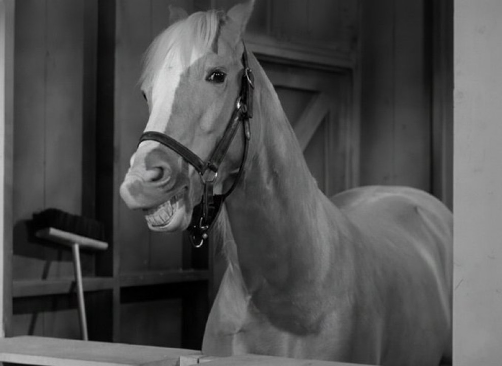 𝐌𝐚𝐭𝐭 𝐏𝐢𝐧𝐧𝐞𝐫 tweet media