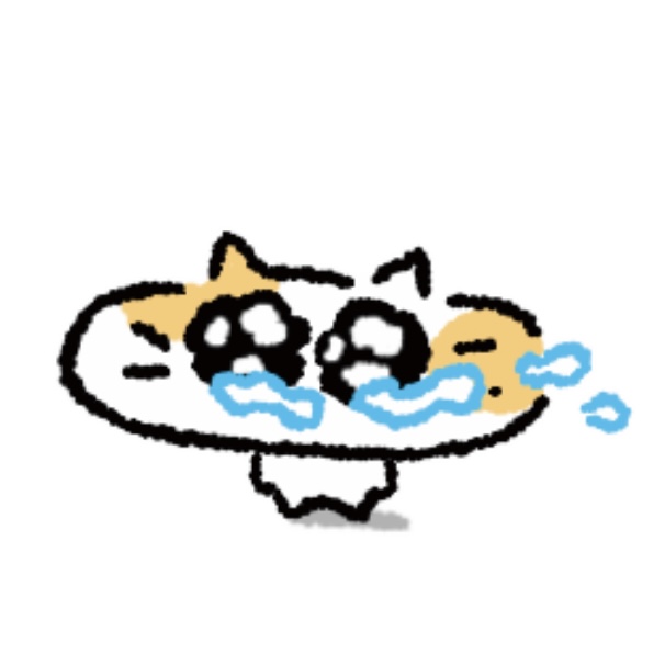 团团猫 tweet media