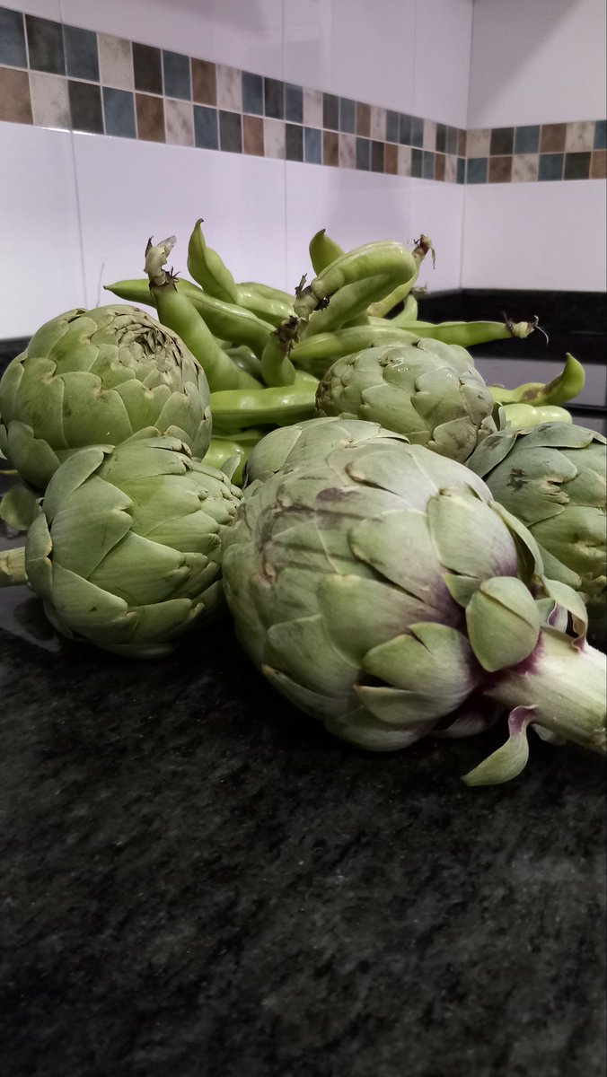 PepGranellTrave's tweet photo. Lo de los #martes 💚💪😉
#BuenosDías #boniato #habas #alcachofa #Twitter #gastrolovers #gastronomía #menjar #agricultura #verduras #primavera #goodmorning https://t.co/5rYznuZRoU