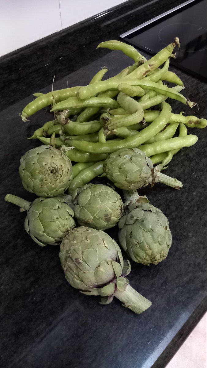 PepGranellTrave's tweet photo. Lo de los #martes 💚💪😉
#BuenosDías #boniato #habas #alcachofa #Twitter #gastrolovers #gastronomía #menjar #agricultura #verduras #primavera #goodmorning https://t.co/5rYznuZRoU