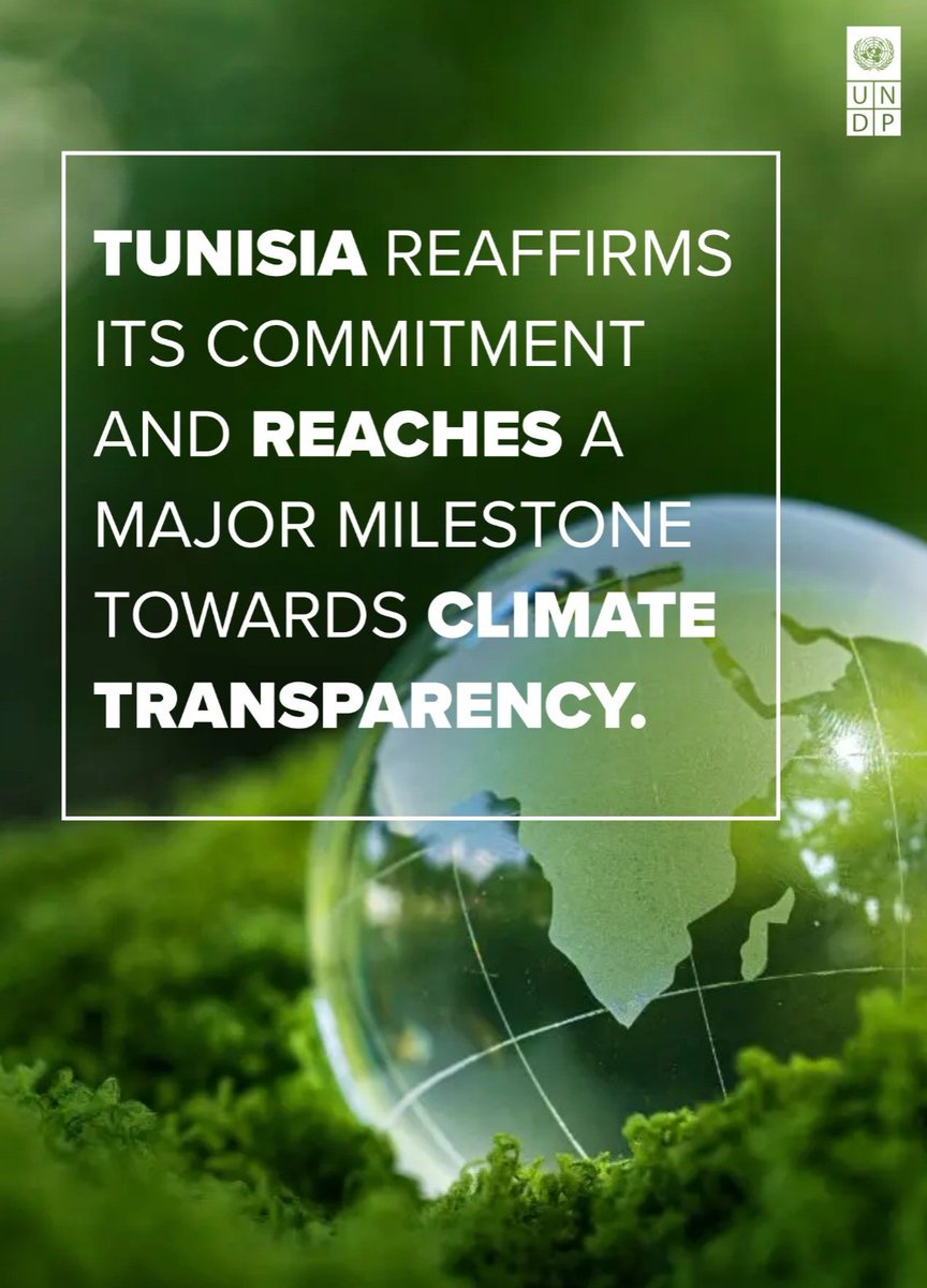 UNDP Tunisia tweet media