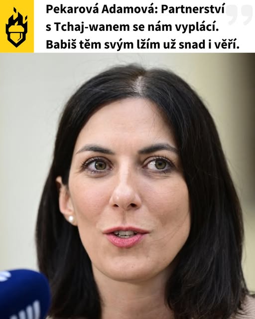 jiří šimon tweet media