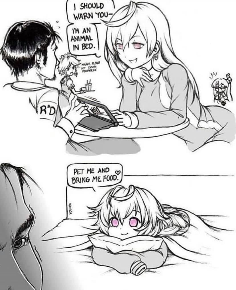 『H』༄ 𝐓𝐄𝐌𝐏𝐑𝐀𝐍𝐂𝐄 tweet media