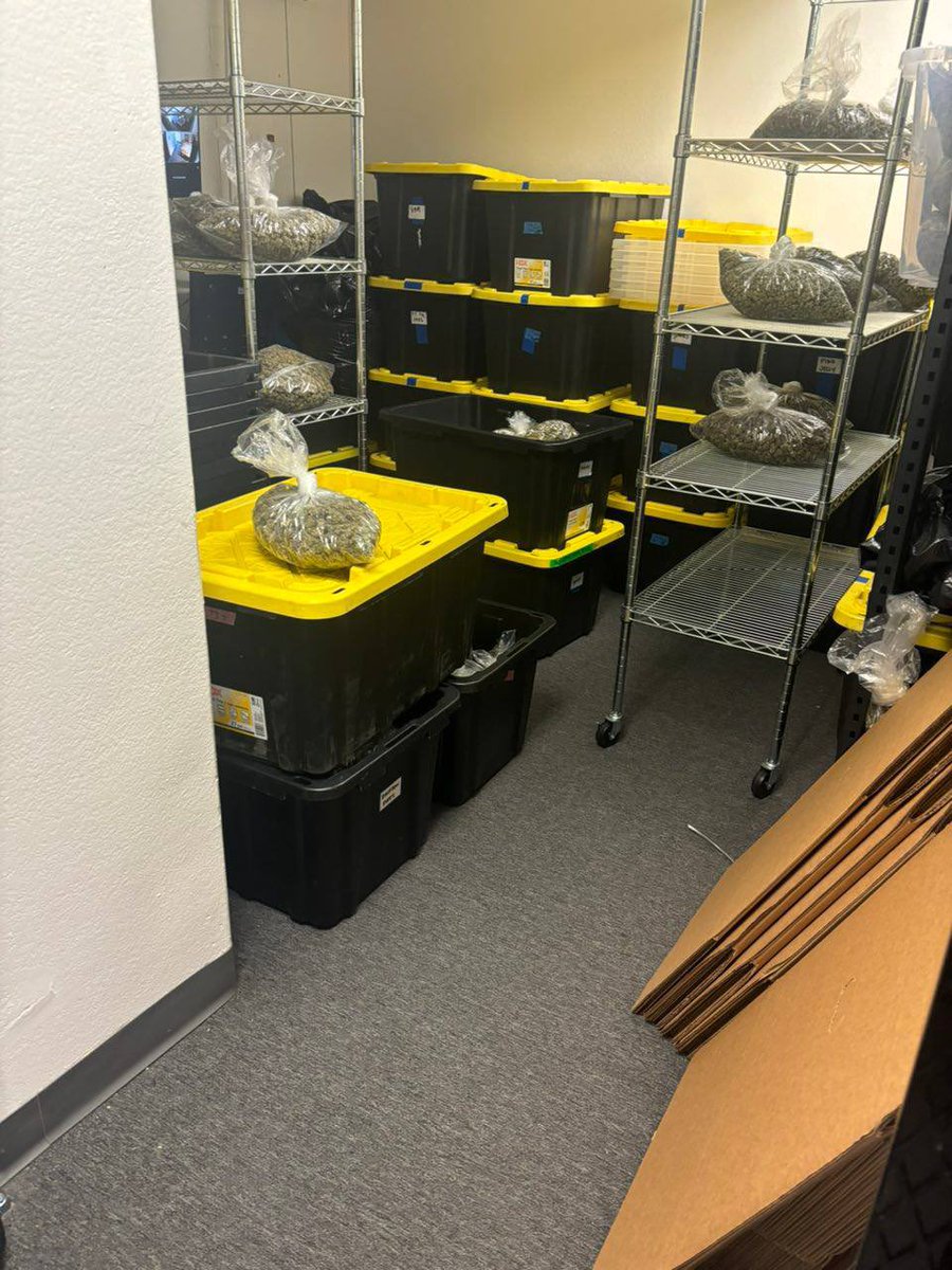 LaDuzz's tweet image. How much would you pay for a bag in your city be honest?

Like
Repost
Comments #cannabis #cannabiscommunity #weed #marijuana #thc #cbd #cannabisculture #weedporn #weedstagram #hightimes #stoner #indica #sativa #hemp #maryjane #kush