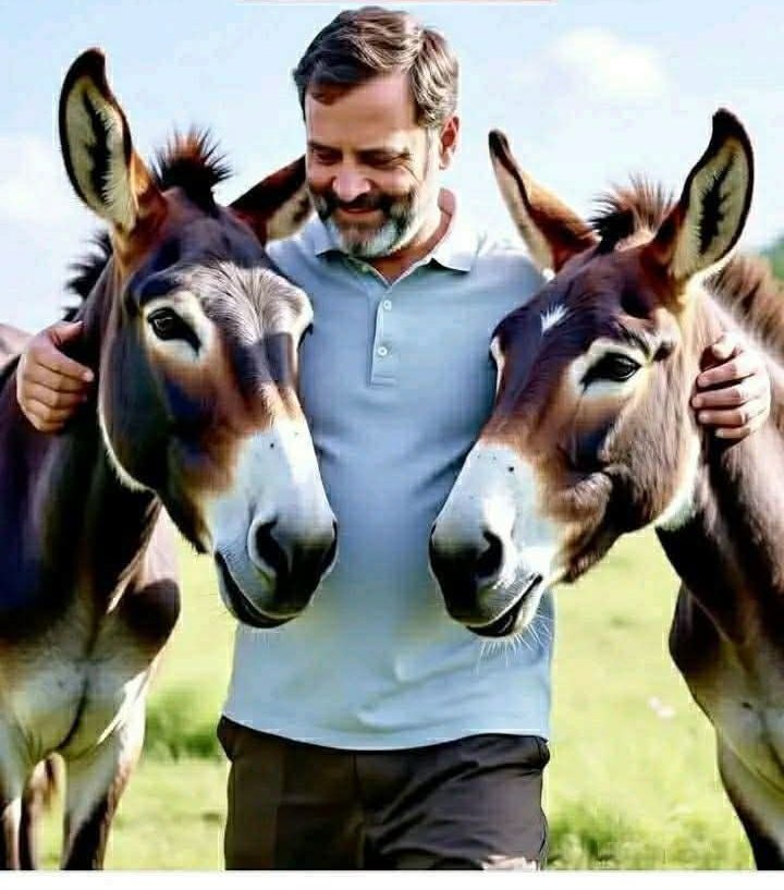 Kajal Kushwaha tweet media