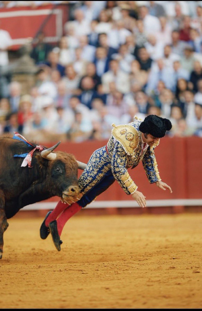 Jaume - Jim•mi tweet media