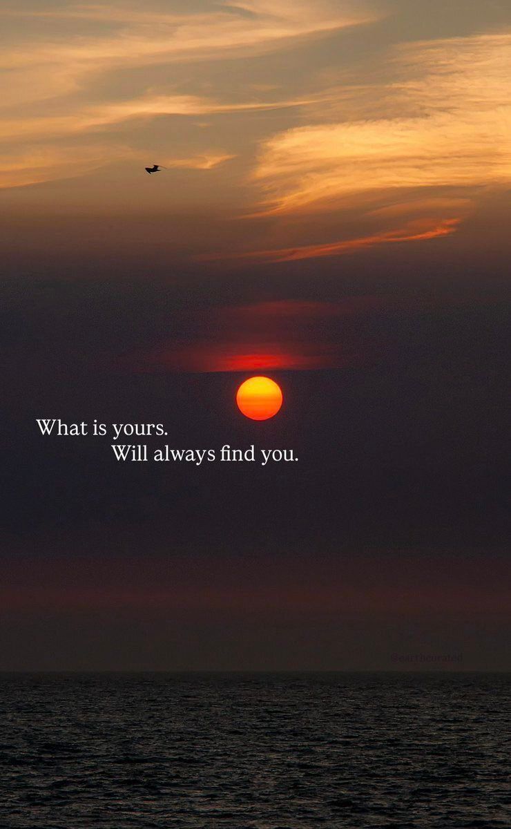 wordpost. tweet media