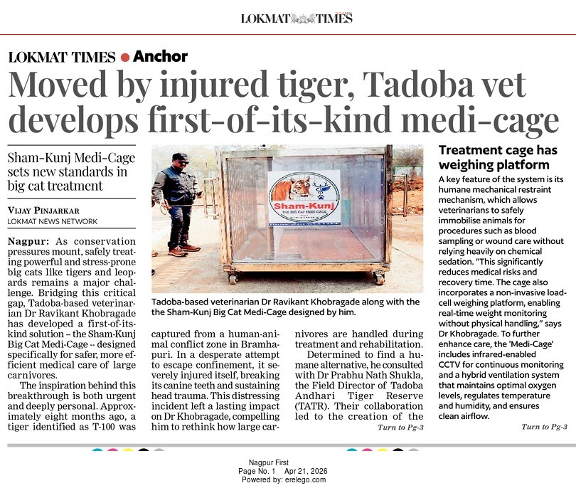 LokmatTimes_ngp's tweet image. #Tadoba vet develops first-of-its-kind 'Sham-Kunj Big Cat  Medi-Cage' for safer tiger treatment. Inspired by the injured T-100. #Tadoba #WildlifeVet #BigCatConservation #Innovation

Vijay Pinjarkar
epaper.lokmat.com/articlepage.ph…